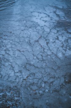 Intricate patterns of ice on a flat surface in the winter season.