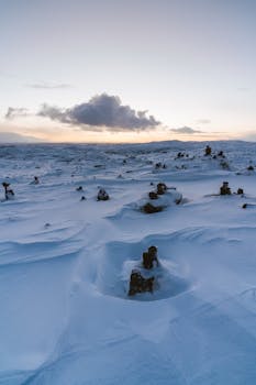 A serene winter landscape featuring snow-covered rolling fields at sunrise.