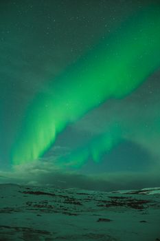 Captivating aurora borealis illuminating the night sky over a snow-covered field.