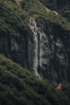 A mesmerizing waterfall cascading down a lush green rocky cliff, creating a tranquil natural landscape scene.