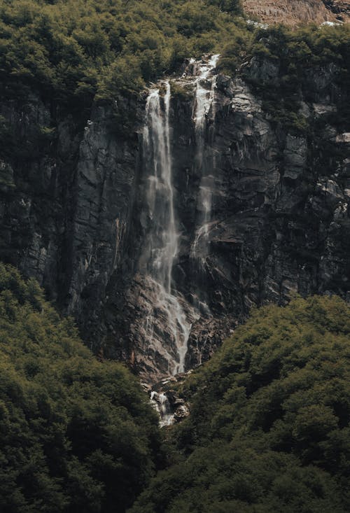 A Green Trees Near the Waterfalls on a Rocky Mountain