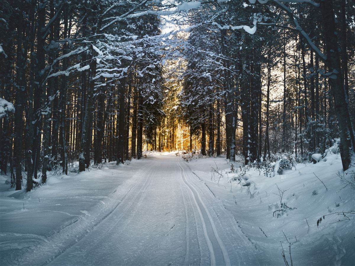 Sobrevivir tu Primer Invierno en Estados Unidos