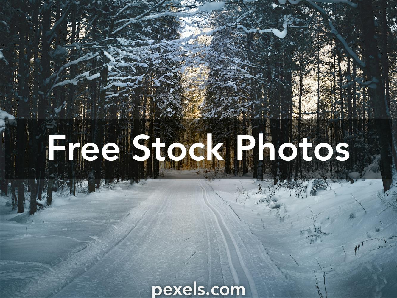70,000+ Best Winter Pictures · 100% Free Download Winter Images & Winter  Wallpaper · Pexels · Free Stock Photos