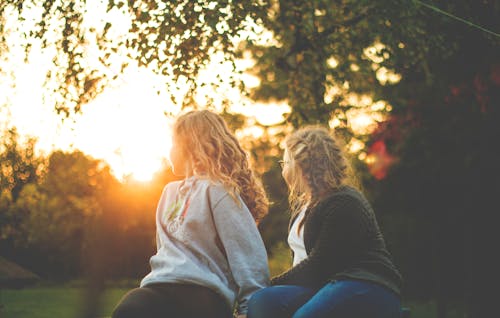免費 兩個女人在日落時分坐在綠樹旁 圖庫相片