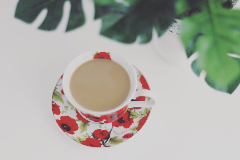 Free stock photo of coffee, cup, flower