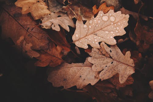 Fall Weather Surges Explained In Simple Terms