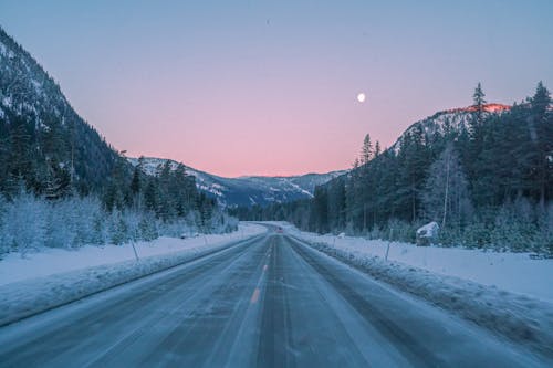 冬季, 冷, 大雪覆盖的地面 的 免费素材图片