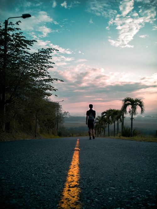 Free A person walks down a palm-lined road under a vibrant sunrise, creating a serene and picturesque scene. Stock Photo