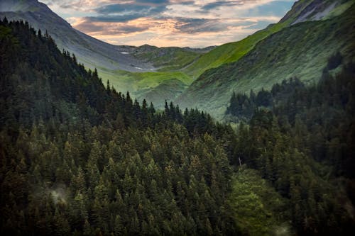 Free Photography Of Mountain Covered With Green Trees Stock Photo