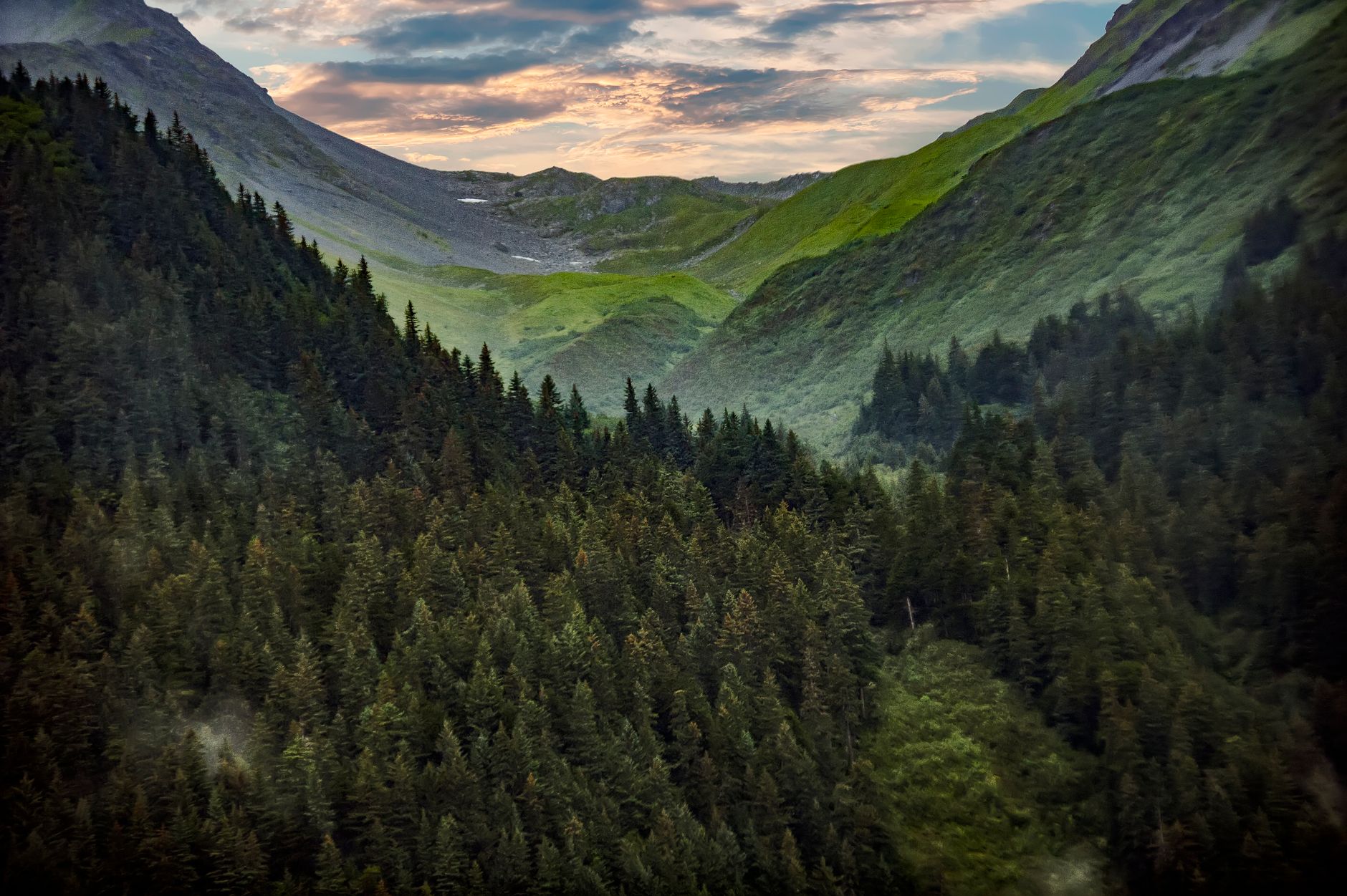 Photography Of Mountain Covered With Green Trees Free Stock Photo photography-of-mountain-covered-with-green-trees-free-stock-photo