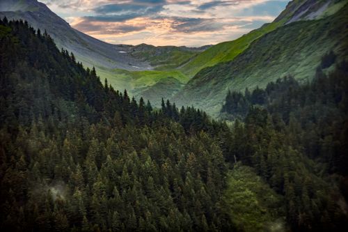 Free Captivating view of lush green mountains and dense forest in Healy, Alaska, during daytime. Stock Photo