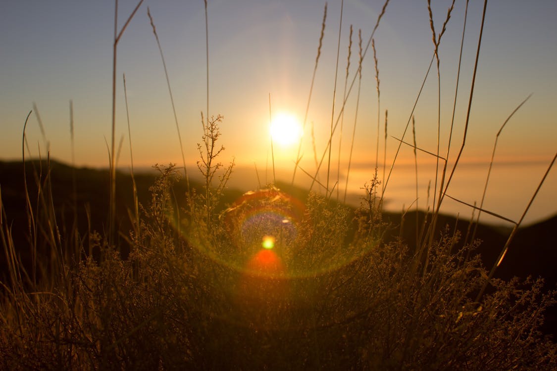 Gratis lagerfoto af linsebrydning, solnedgang, solopgang Lagerfoto