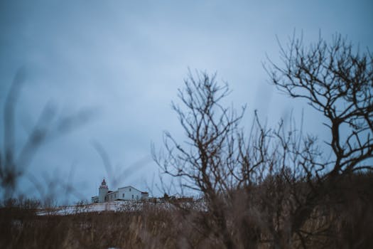 Eerie winter scene with a lighthouse amidst leafless trees under a moody sky.