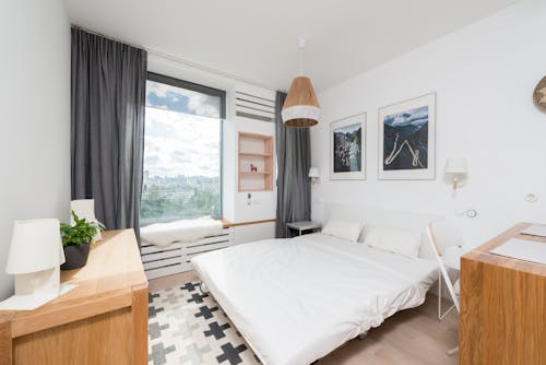 Interior of modern bedroom with comfortable bed with white pillows and sheet and wooden furniture decorated with paintings and curtains