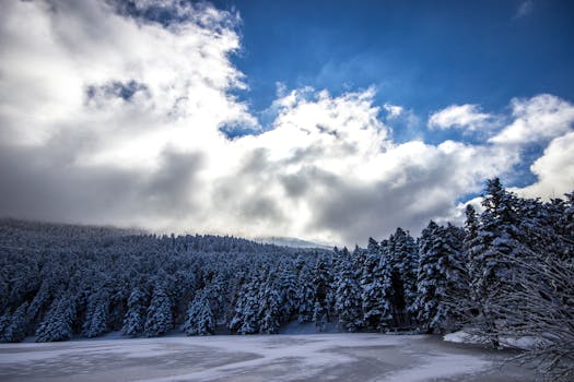 在明亮的蓝天下，白雪皑皑的森林和冰冻湖泊构成了一幅壮丽的景色