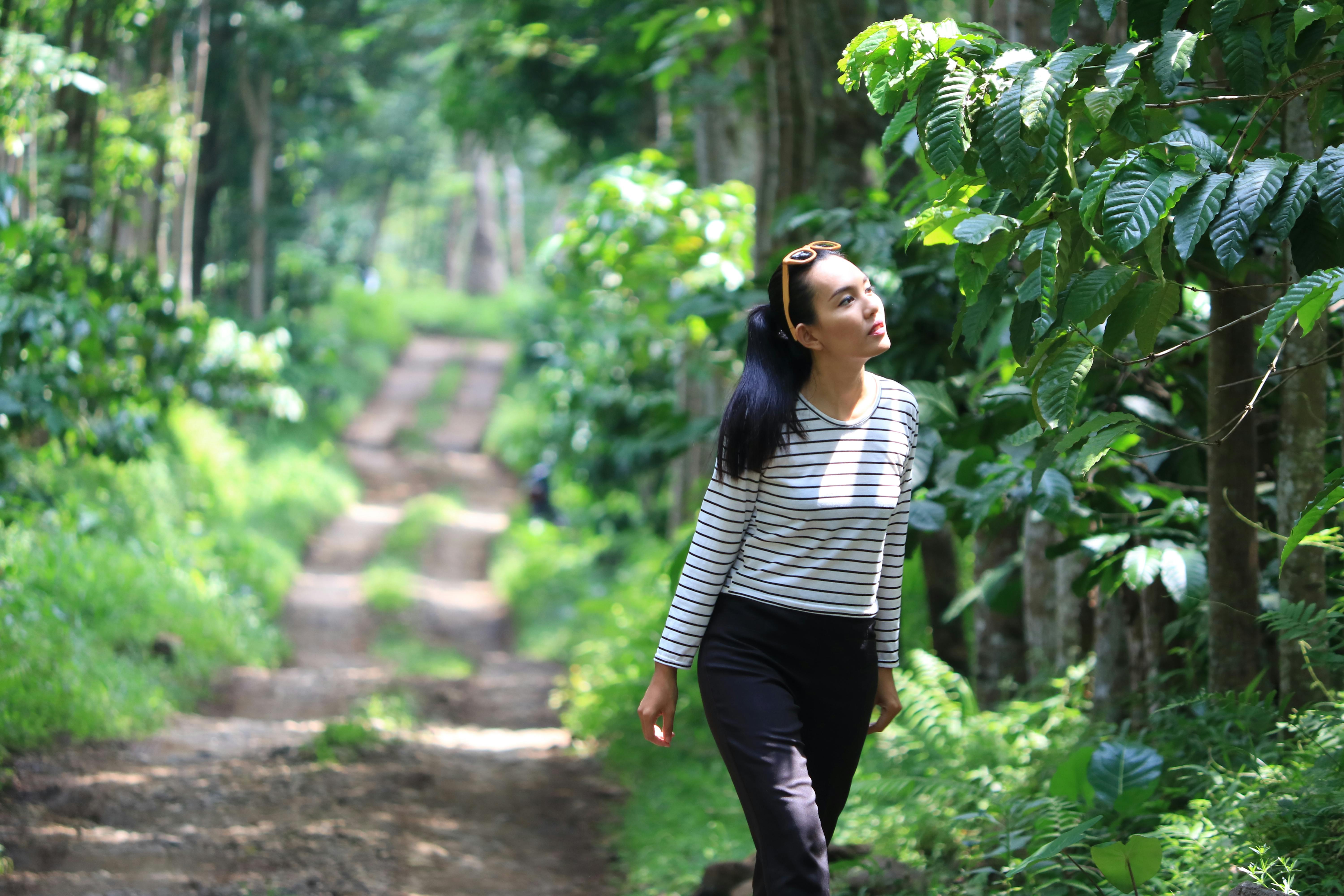 Free stock photo of coffee, girl, plantation