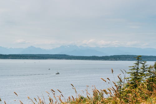 Body of Water Near Mountains Under White and Blue Sky