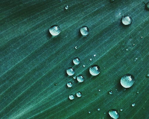 Macro Shot of Water Drop on Green Textile