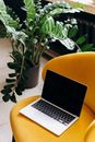 Macbook Laptop on Yellow Accent Chair