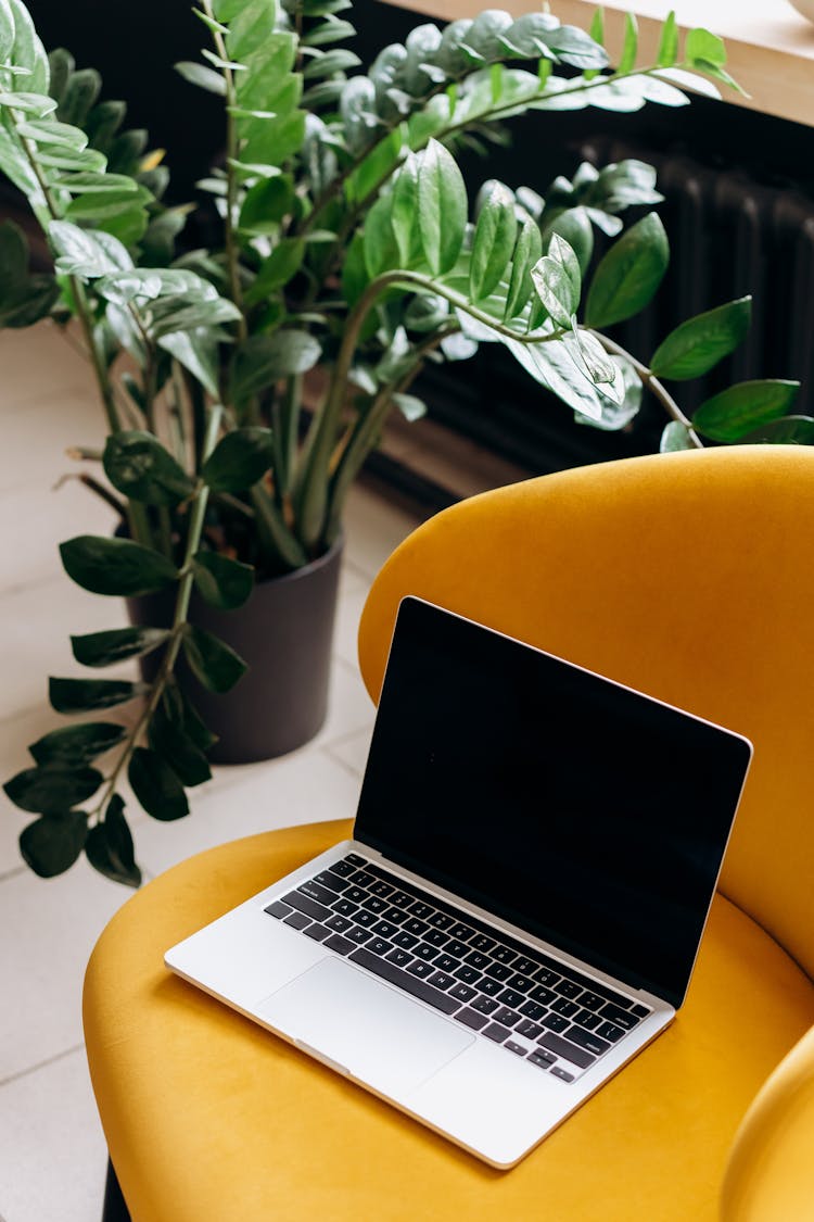 Macbook Laptop On Yellow Accent Chair 