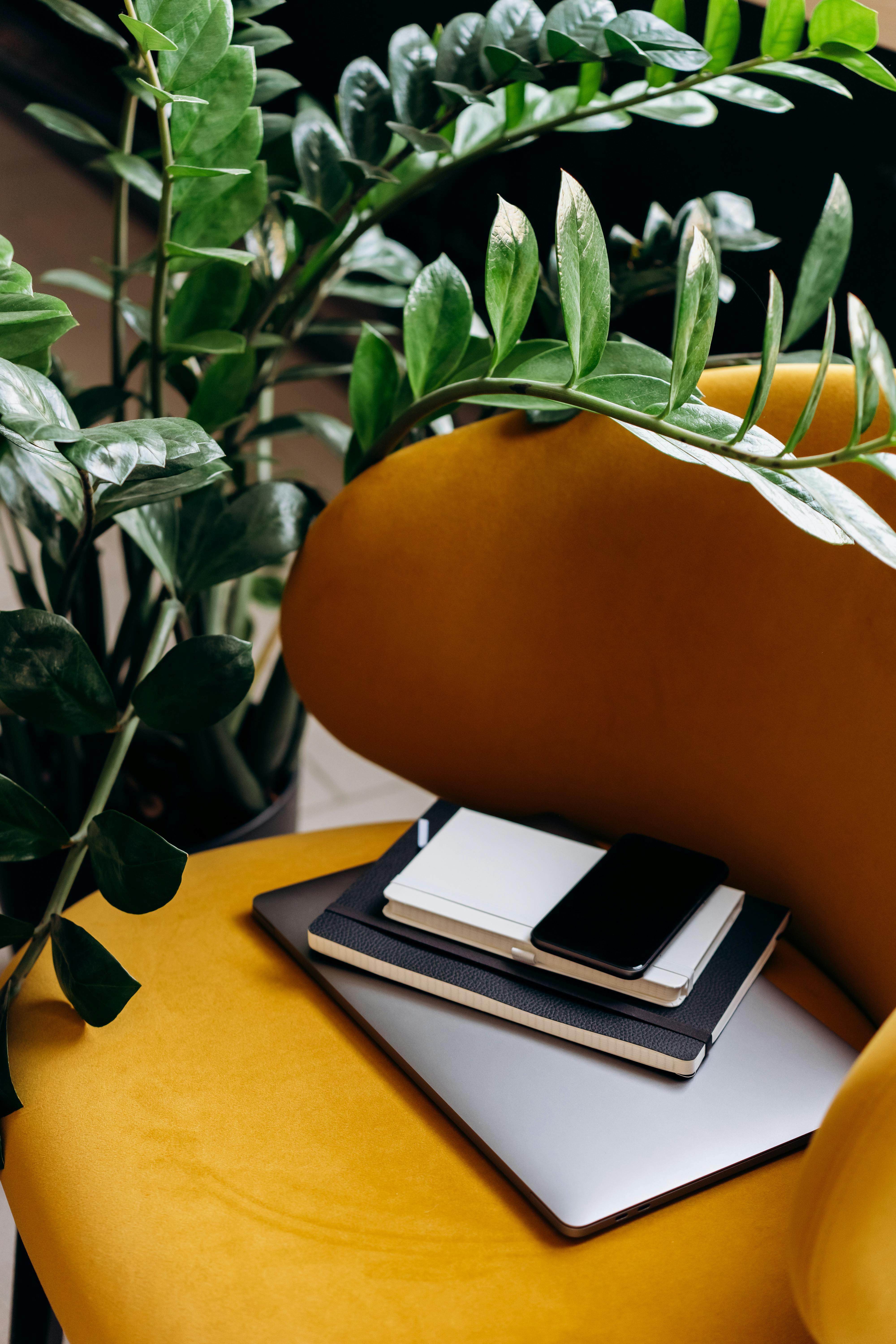 Free A stylish indoor workspace featuring a yellow chair, laptop, and greenery. Stock Photo