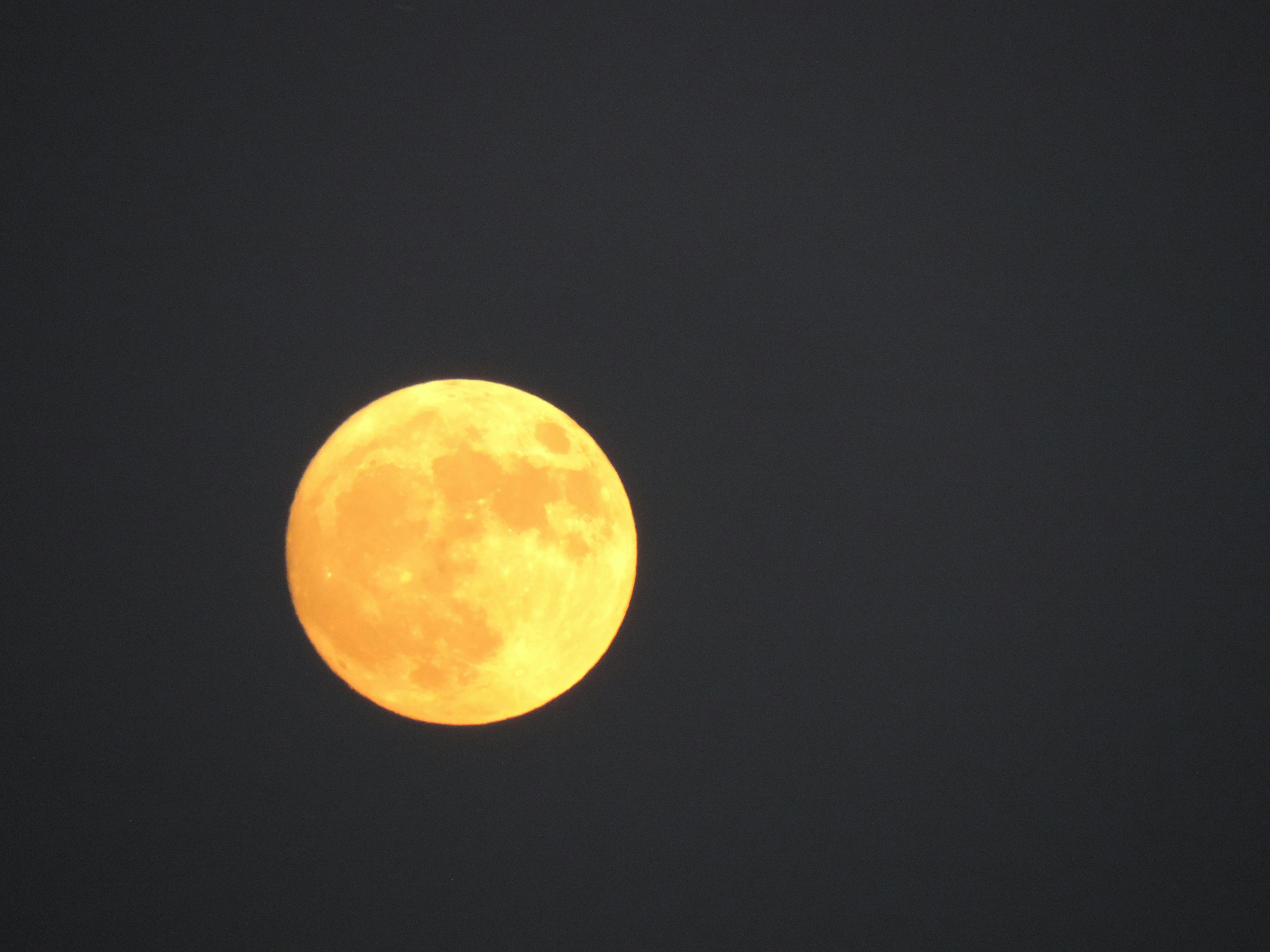 Free stock photo of big moon, full moon, moon