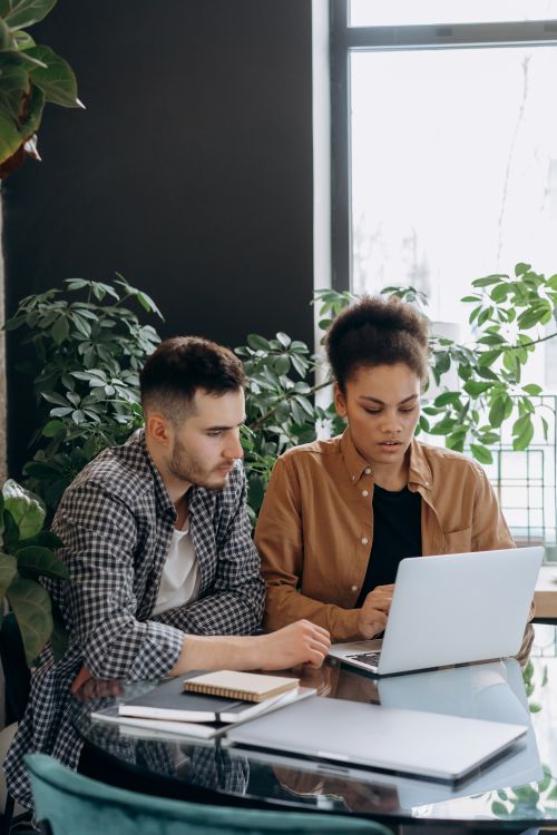 Free A man and woman working together on a laptop in a modern, plant-filled office setting, emphasizing teamwork. Stock Photo