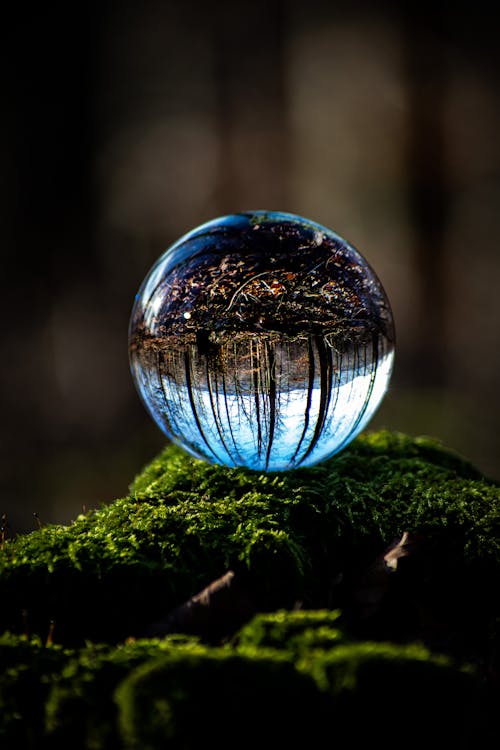 Clear Glass Ball on Green Moss