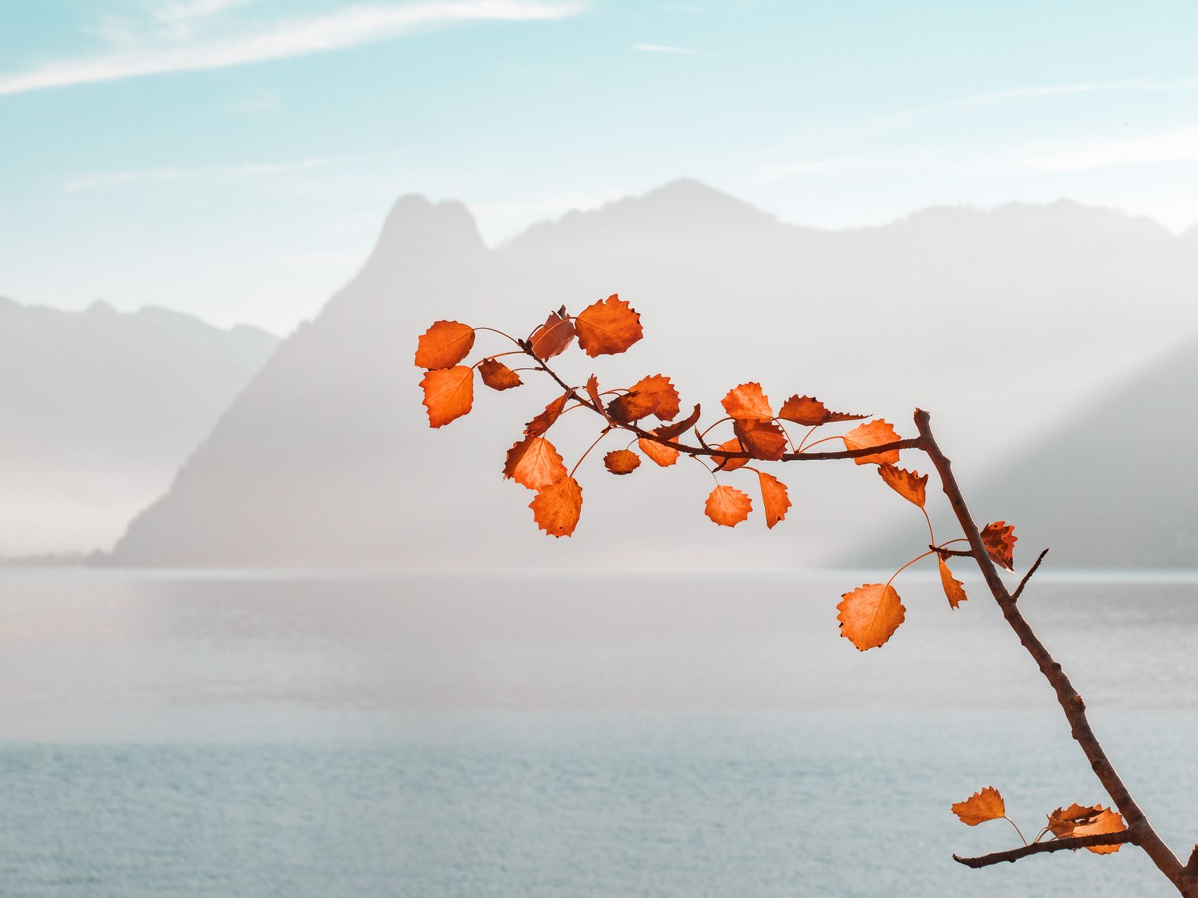 A peaceful autumn scene with orange leaves and Lake Gmunden's misty mountains in the background.
