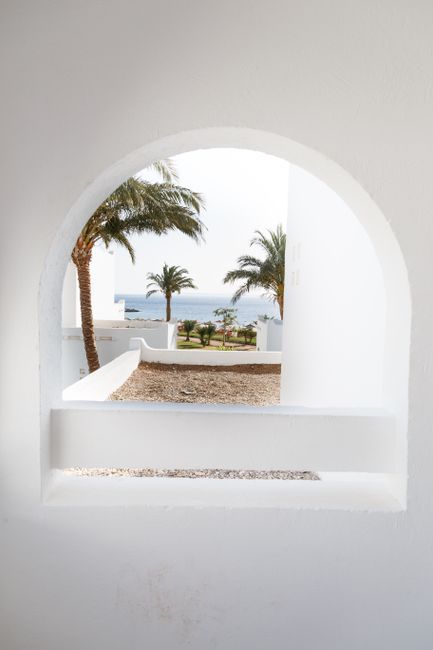 Serene view of palm trees and sea through an arch window suggesting a tropical vacation.