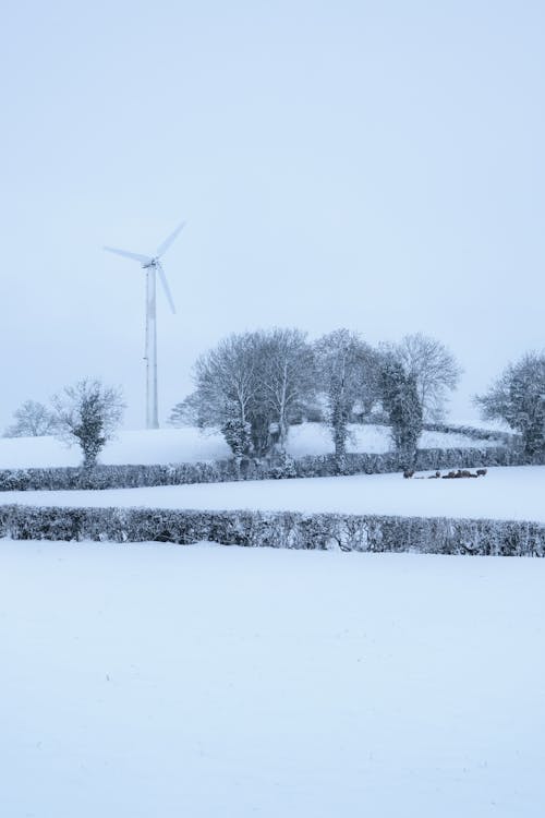 Free Wind Turbine Near Trees on Snow Covered Ground Stock Photo
