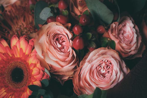 Delicate white and pink flowers heaped together · Free Stock Photo