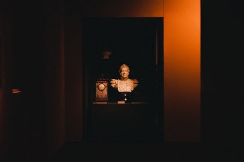 Foto profissional grátis de arte, busto, escuro