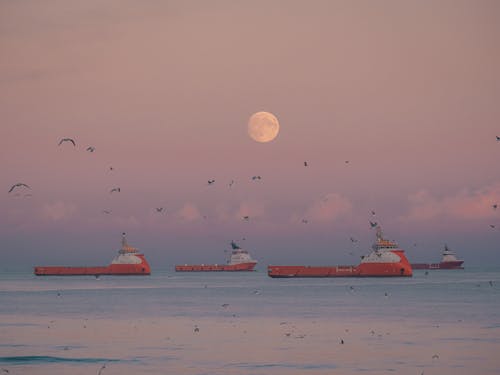 Ships Under the Moon With Birds Flying 