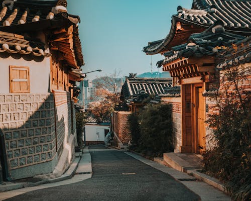 Ảnh lưu trữ miễn phí về bukchon hanok, cây, điểm du lịch