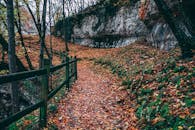 秋天的小径风景秀丽，铺满五颜六色的落叶，一旁是宁静森林中的篱笆