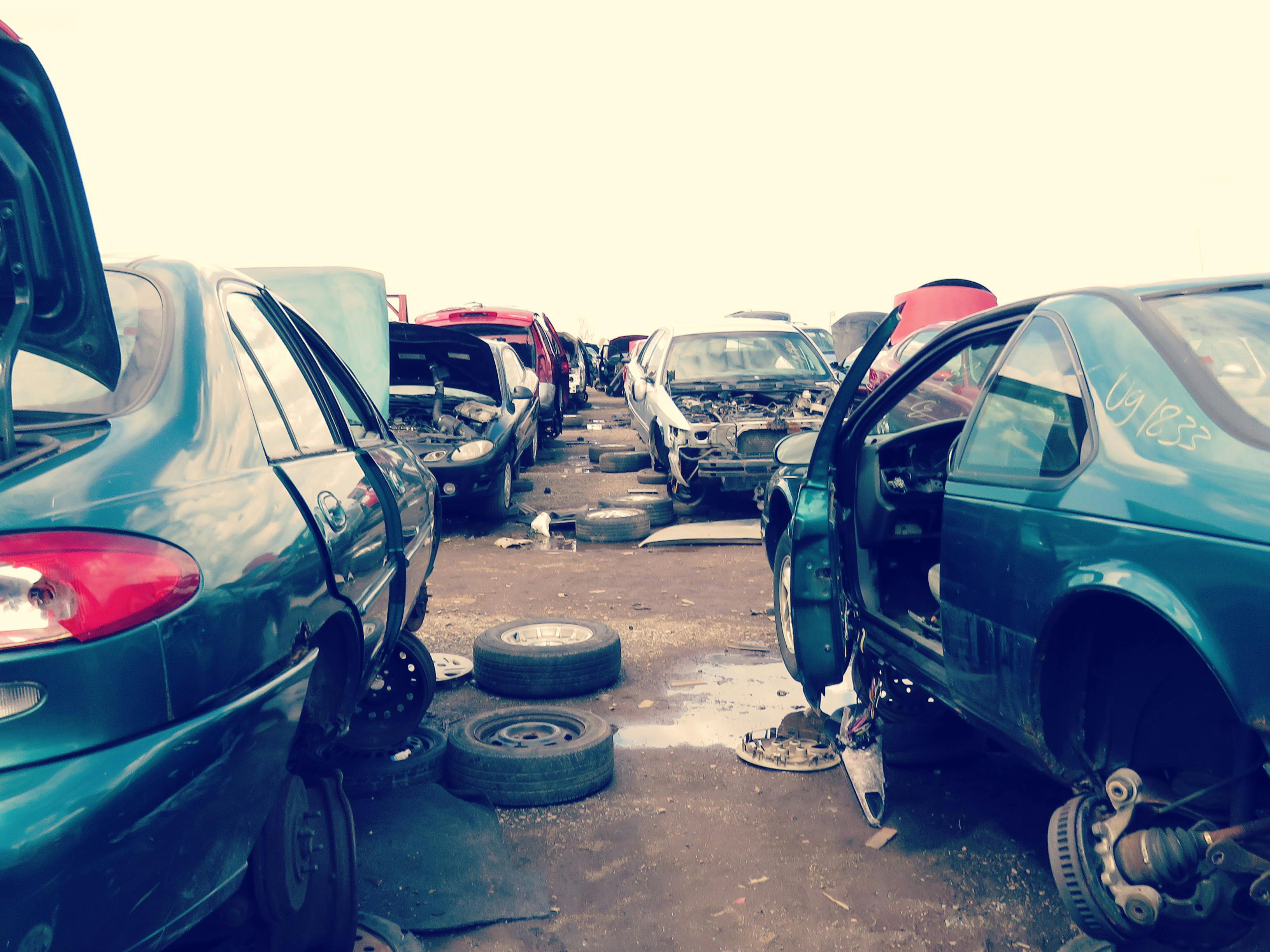 Free stock photo of car, car lot, junk yard