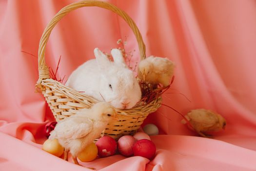 Cute rabbit and fluffy chicks in a wicker basket surrounded by colorful Easter eggs.