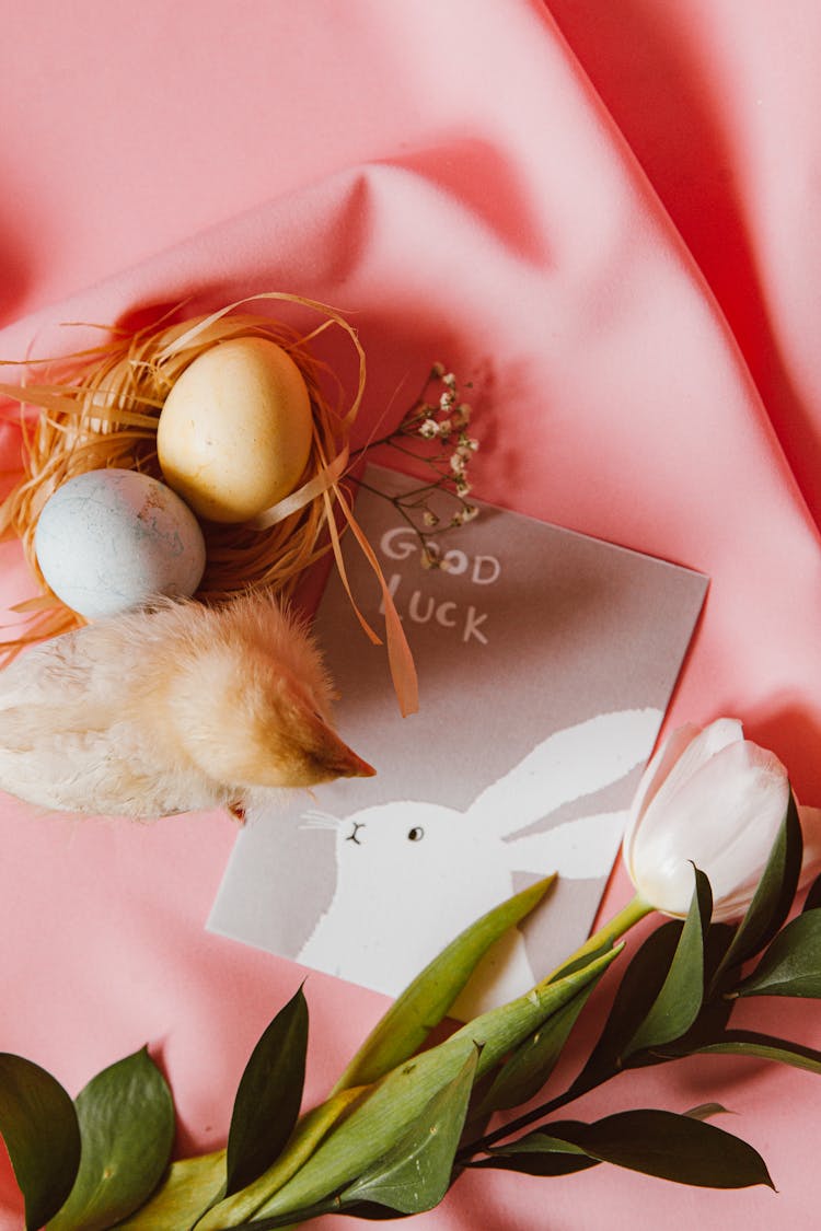 A Chick And Eggs With Easter Bunny Greeting Card On Pink Background