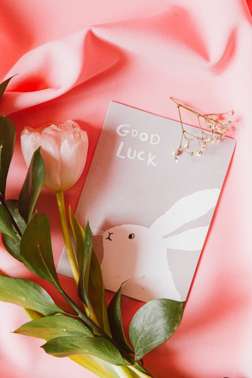 Good Luck Photos, Download The BEST Free Good Luck Stock Photos & HD Images