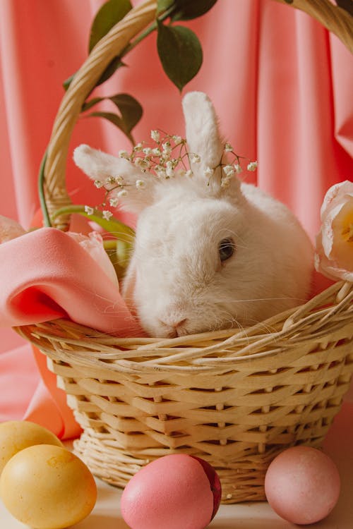 A Bunny In A Basket Beside Easter Eggs