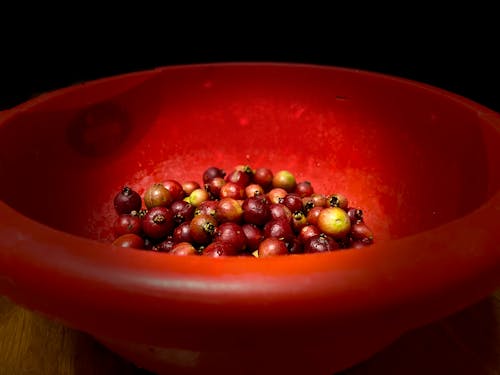Free Red Round Fruit on Red Ceramic Bowl Stock Photo