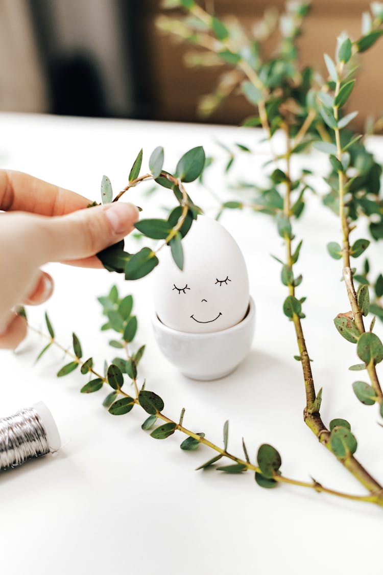 White Egg With Smiley Face And Crown Of Green Leaves