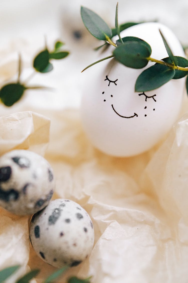 Painted Smiley Face On White Egg