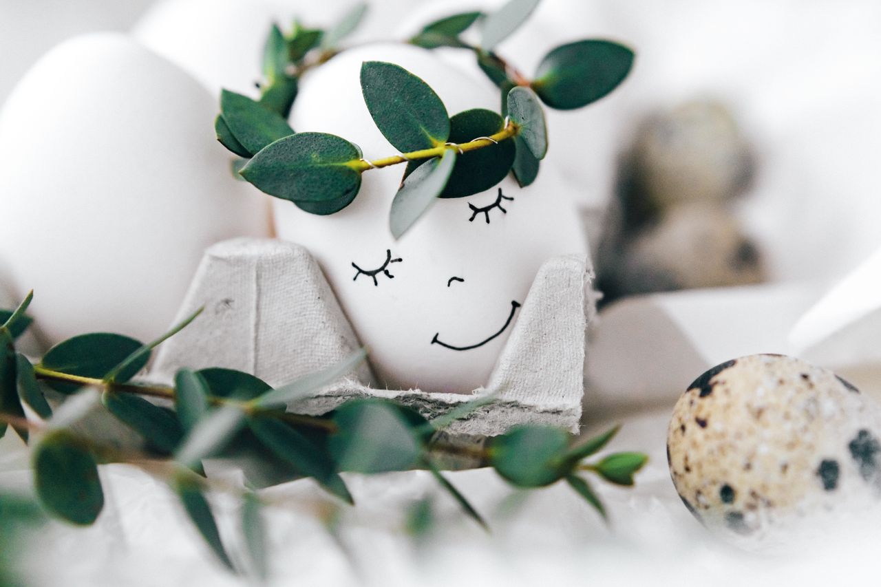 a whimsical easter egg with a hand drawn smile and leaf crown perfect