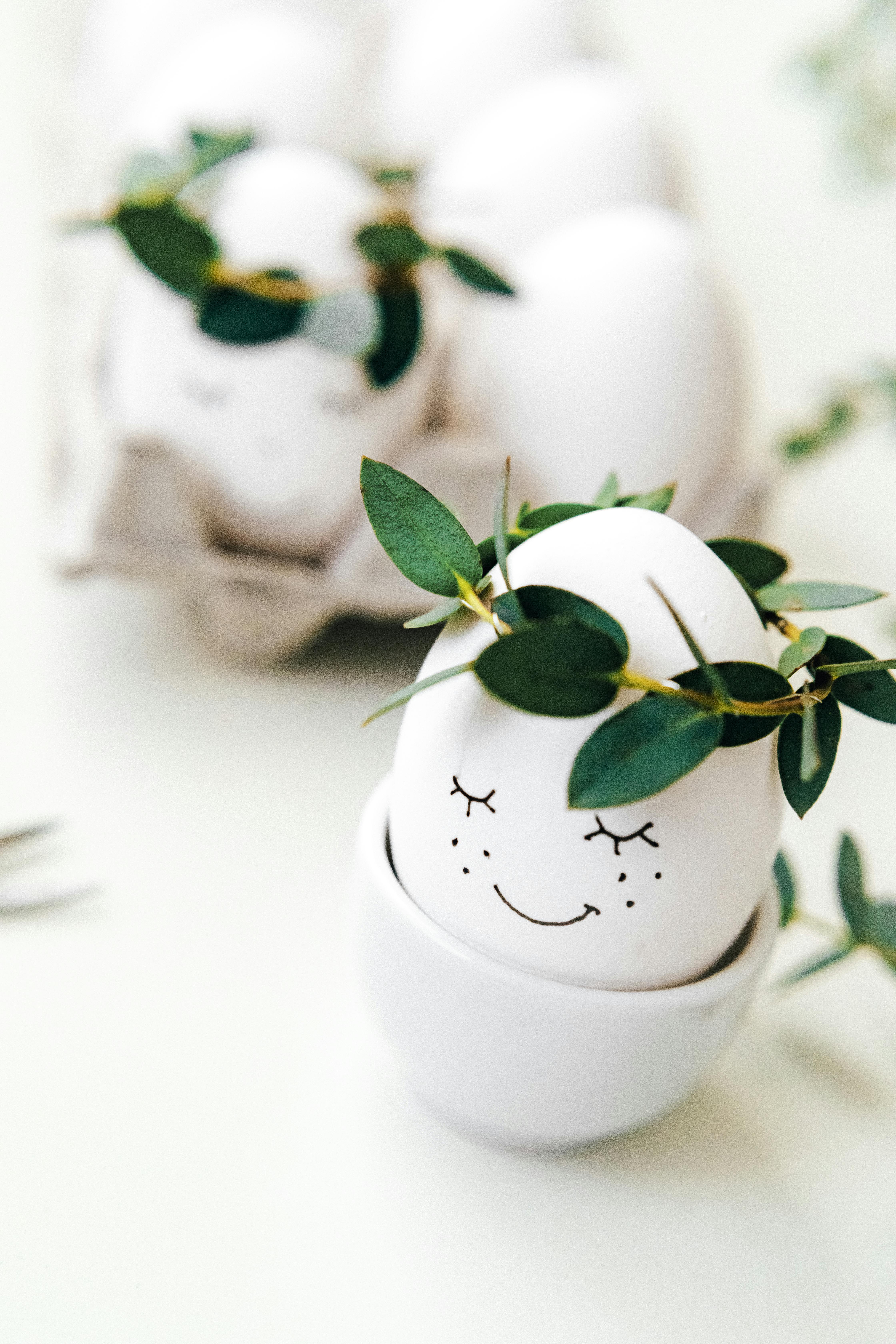 white painted eggs with crown of green leaves