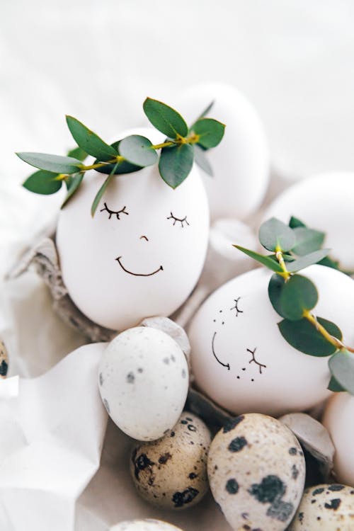 White Eggs With Green Leaves