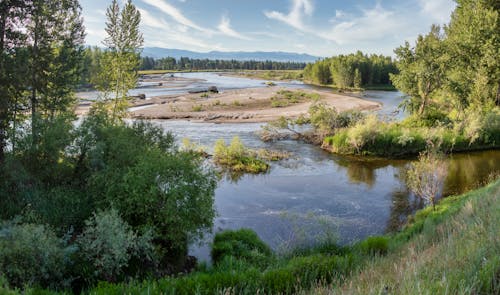 Fotobanka s bezplatnými fotkami na tému bass creek, bitterroot river, Montana