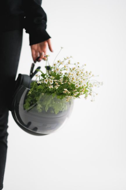 Creative composition of hand holding black helmet filled with white flowers against a white background.