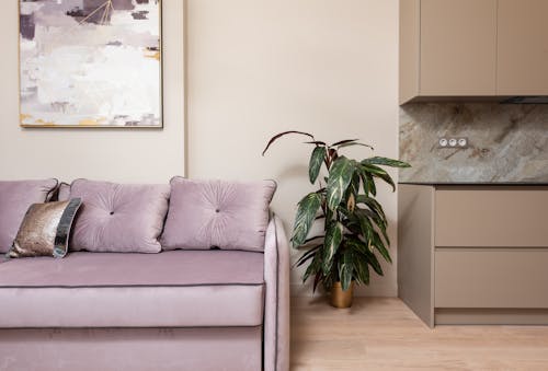 Free Flat with couch and potted plant near open kitchen Stock Photo